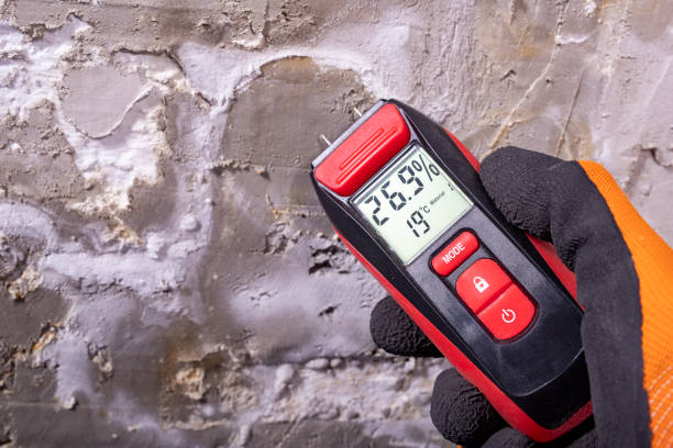 Best Certified Mold Removal  in Rutherford, PA