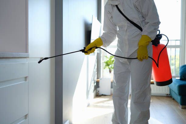 Best Emergency Mold Removal  in Rutherford, PA